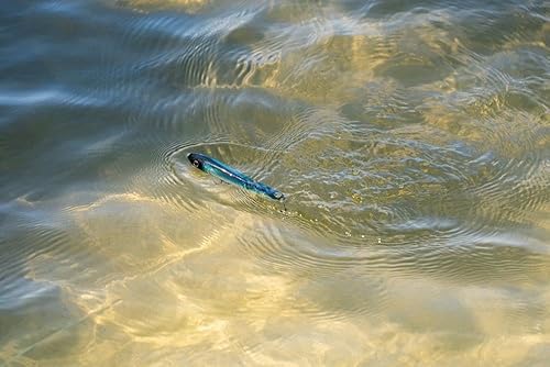 Vista 18 de Berkley J-Walker 100