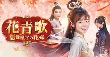 あんてるさんの花 DVD 邦画 Amazon.co.jp: アンコ椿は恋の花 [DVD] : 竹脇無我, 香山美子