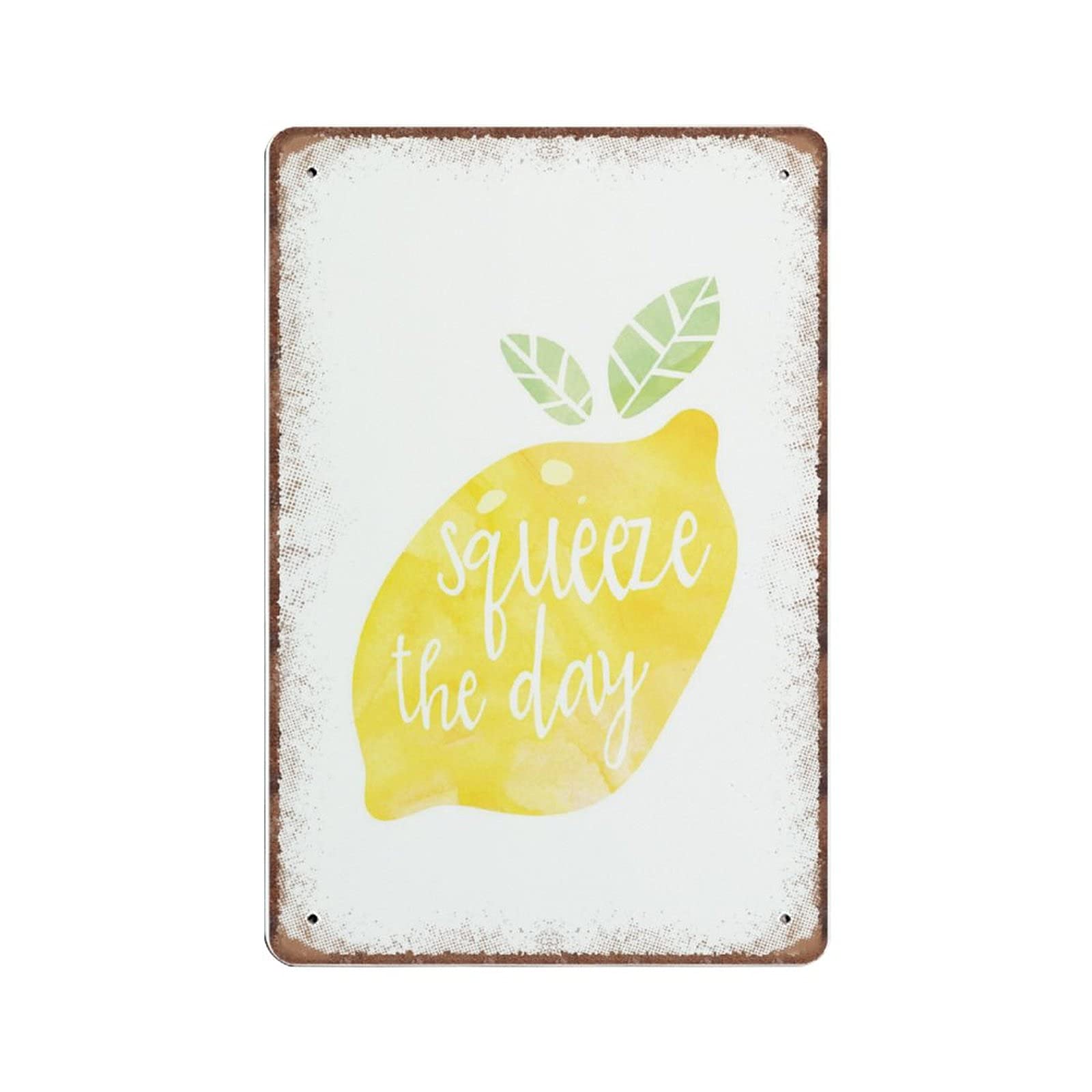 Daiercy Retro Tin Signs 12 Squeeze The Day Tin Signs Funny Vintage Metal Sign Plaqu Poster Wall Art Pub Bar Kitchen Garden Bathroom Home Decor, 140X200 Mm