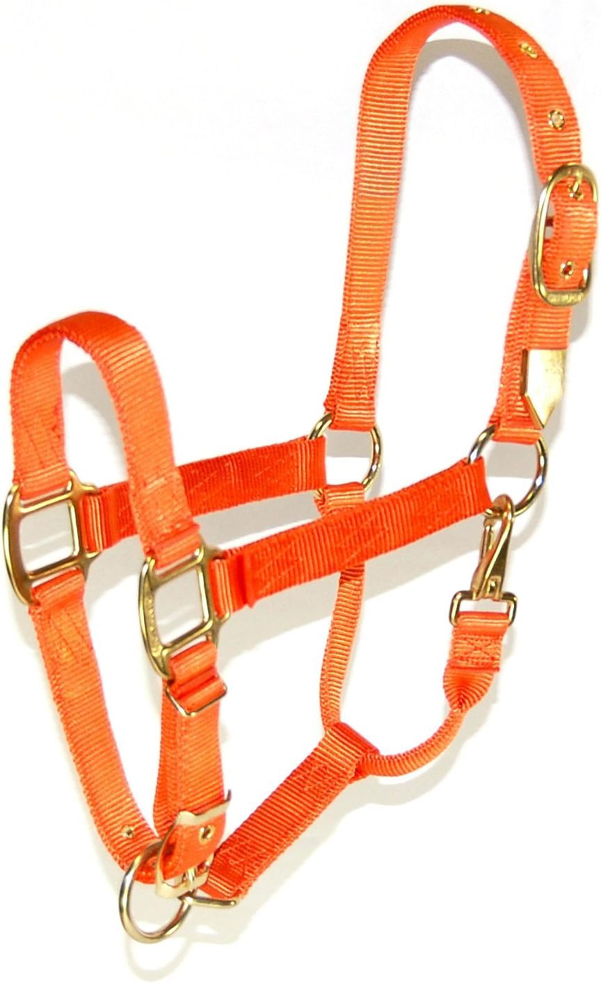 Hamilton Nylon Horse Halter, 800-1100 lb, Mango Orange
