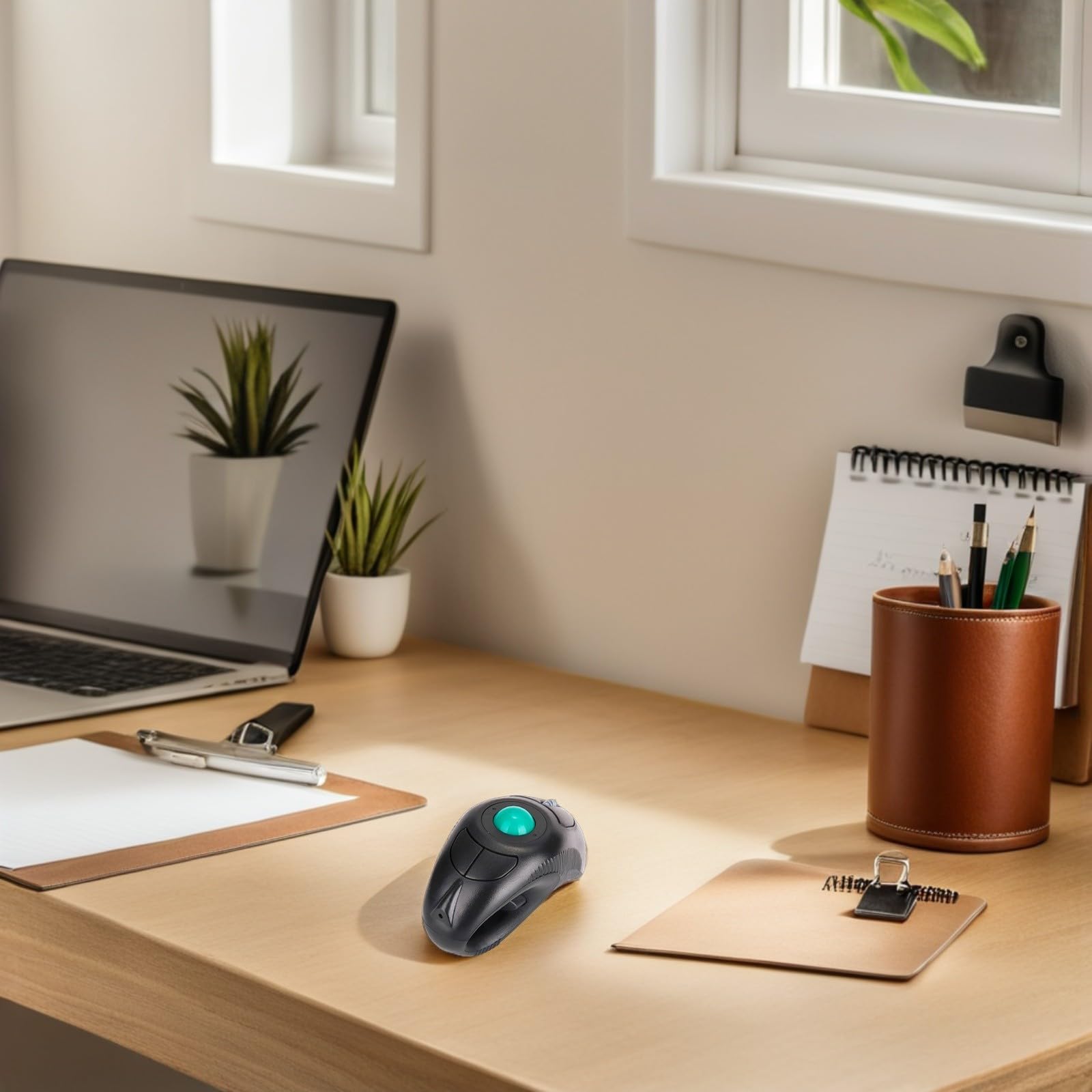 OUNONA Souris Trackball sans Fil USB Contrôle Pouce Ergonomique Portable Compatible PC et Laptop Conception Dauphin Ambidextre Fatigue Oculaire et Douleur Poignet