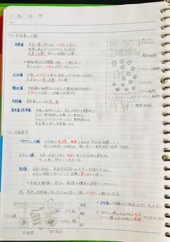 歯科国家試験 対策 まとめノート 国試に合格した先輩DHの勉強ノート📖✨ 今回はう蝕予防・予防