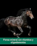 Ver la foto 5