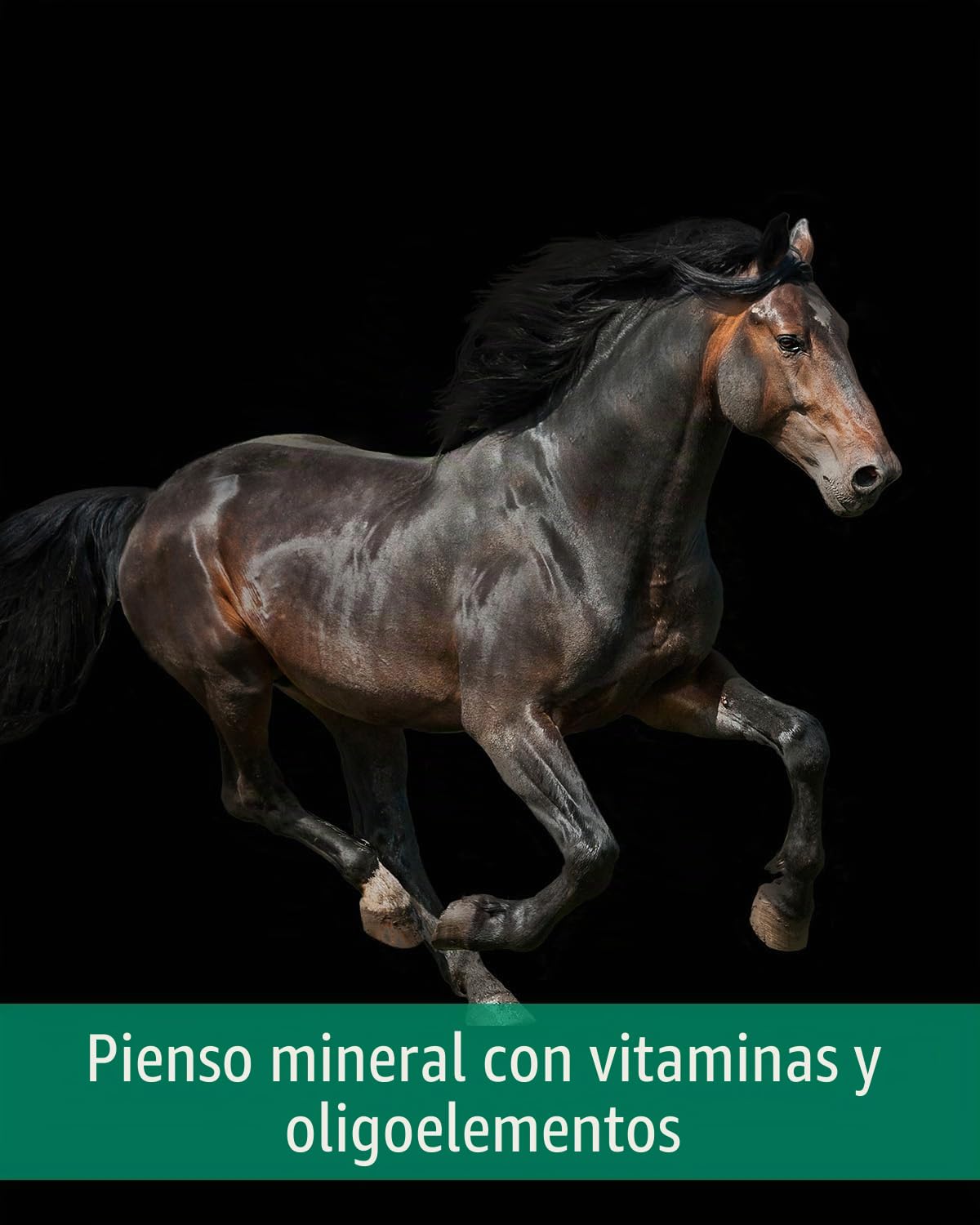 EQUISTRO® Mega Base | Complemento alimenticio para Caballos | Alimento Mineral apoyar la extracción de nutrientes | 3 kg