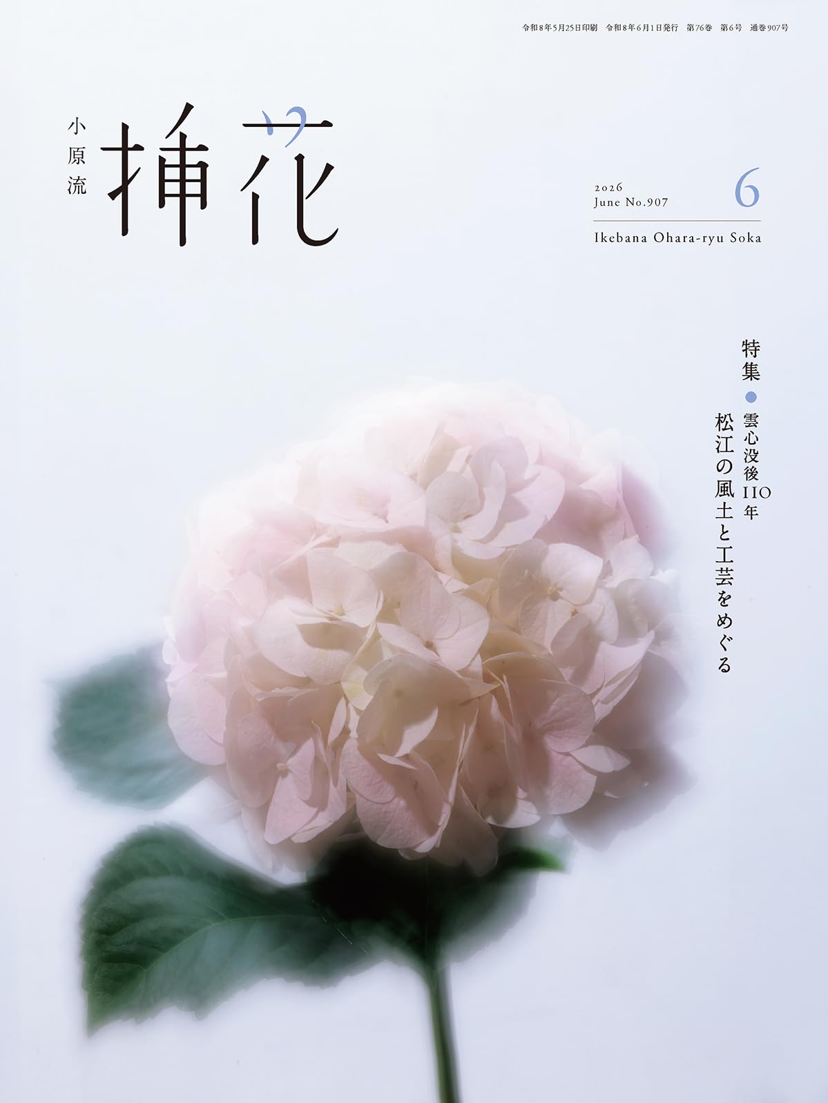 小原流　挿花　 1975年1月号~12月号 12冊まとめ Amazon.co.jp: 小原流挿花[オハラリュウソウカ]2026年6月号【雑誌