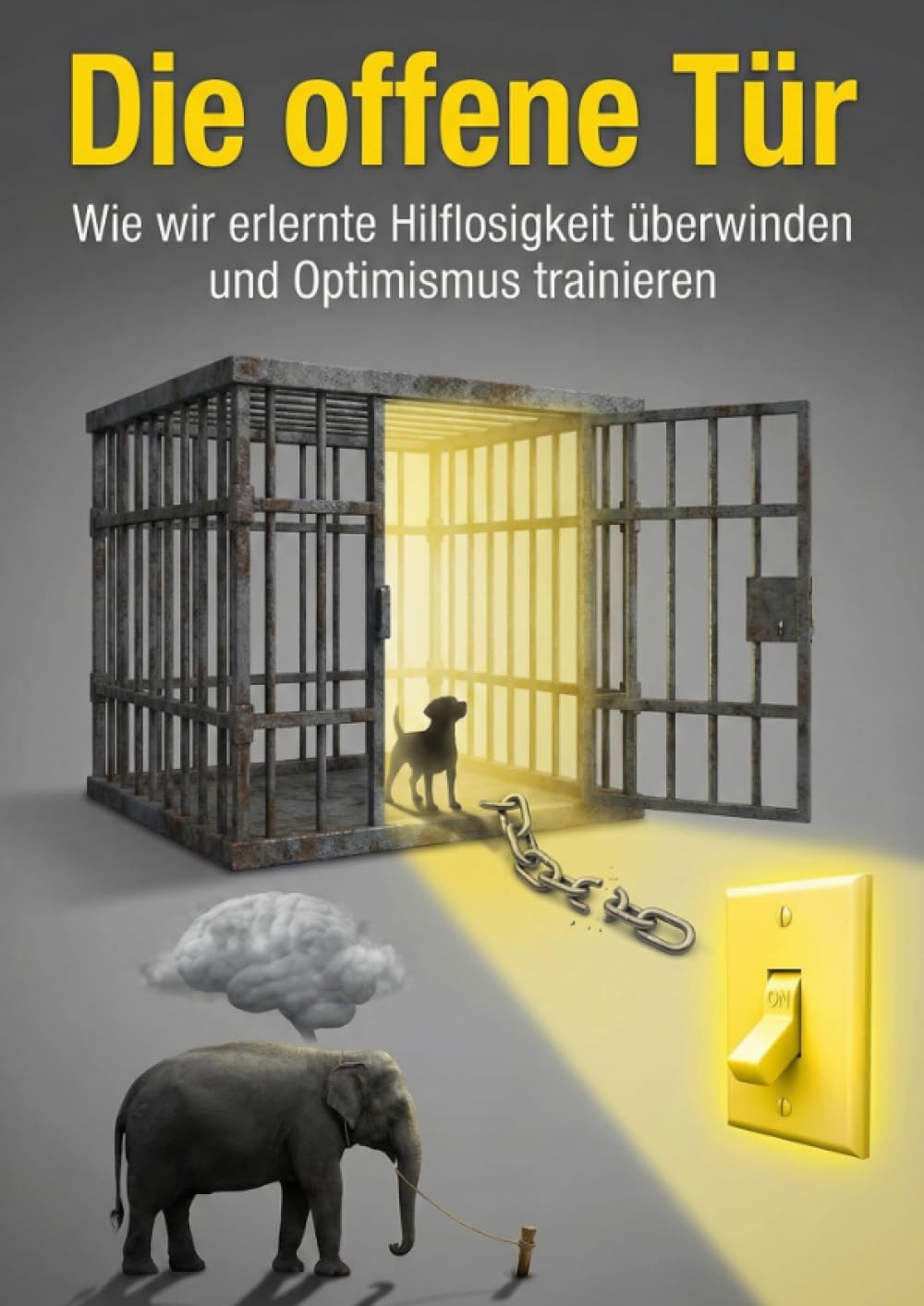 Offene Tür: Wie wir erlernte Hilflosigkeit überwinden und Optimismus trainieren