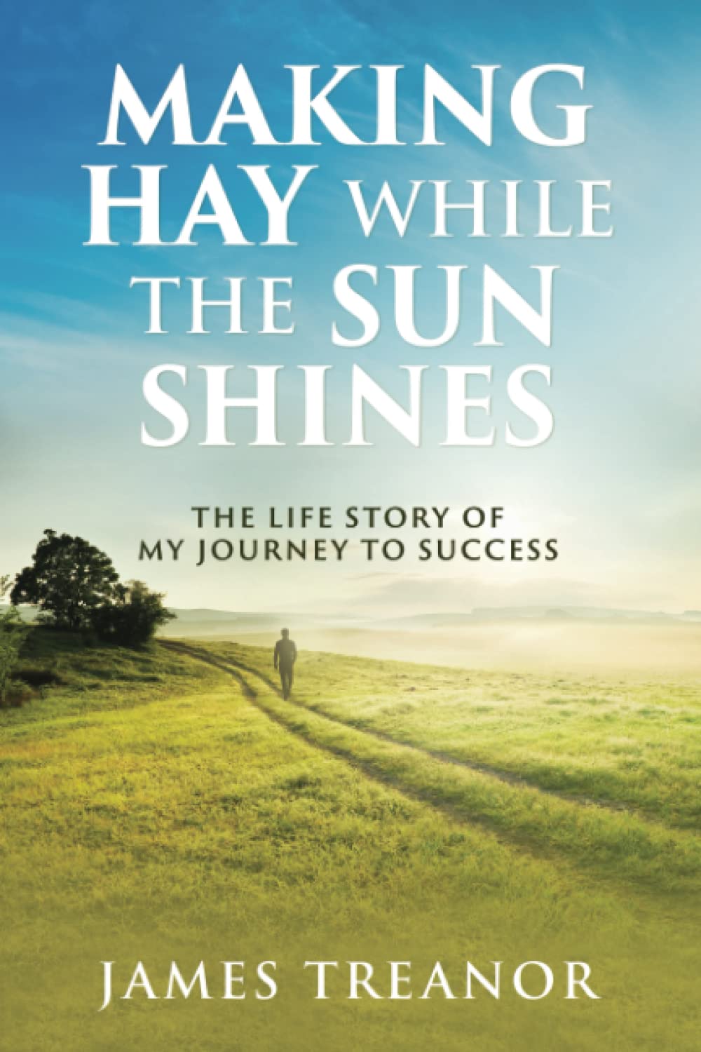 Making Hay while the Sun Shines: The life story of my journey to success.