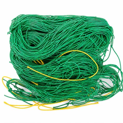 Image of Plant net for Climbing Plants | Heavy Duty Garden Trellis Net for Creeper Plants, Vegetables & Flowering Vines(3x6 feet)