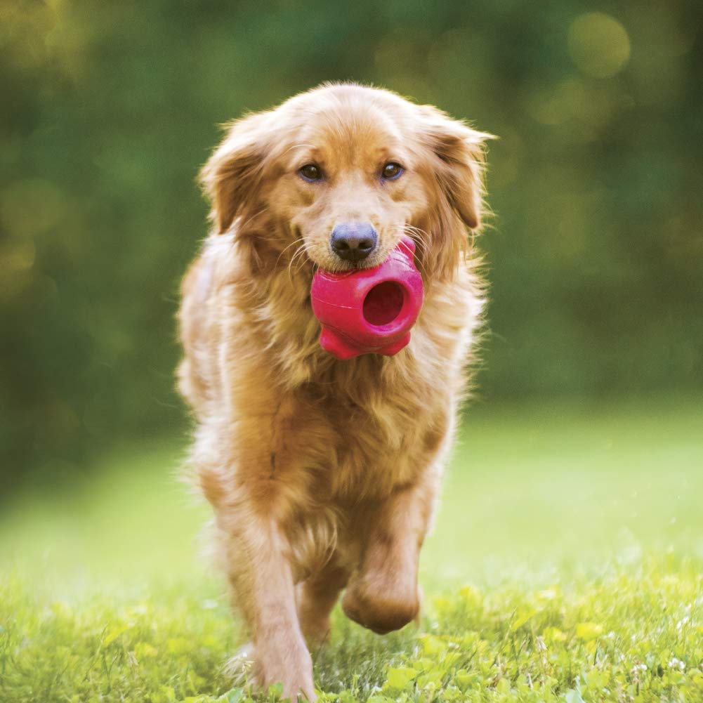 Hero Signature Series Natural Rubber Bone Ball, Small, Red Dog Toy