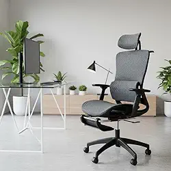 Cadeira Executiva Ergonômica, Giratória, Tela Mesh, Reclinável com Apoio Lombar e Cabeça, Suporta 150kg, Home Office e Gamer, NR17 (Preto)