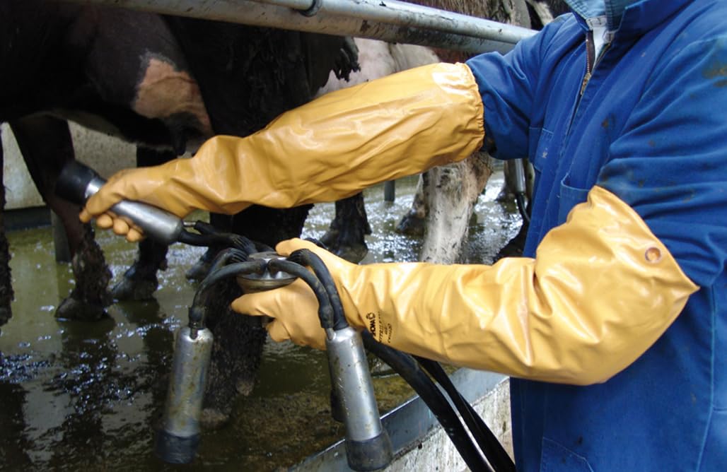 SHOWA Atlas 772 Double Nitrile Coated Full-Arm Chemical Resistant Safety Glove with Cotton/Poly Liner, 20 Mil Thick, 26" Length, Large (12 Pair)