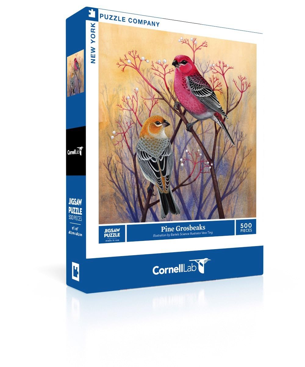 ウィルス・スミス／リチャード／ジェラシックなど102本セット－27－ Amazon.com: New York Puzzle Company - Cornell Lab Pine Grosbeaks