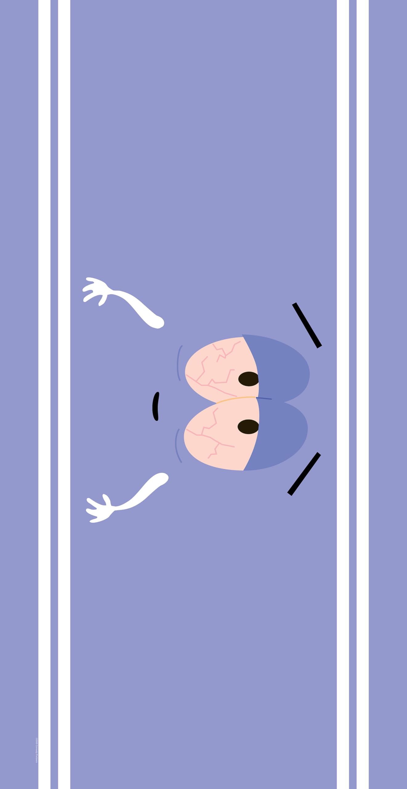 footdistrict towelie