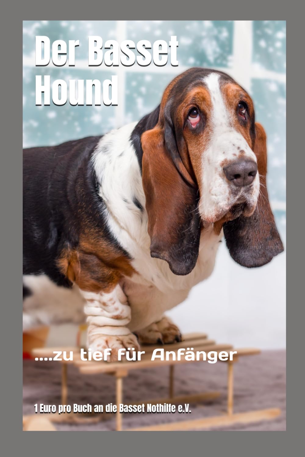 Der Basset Hound: ....zu tief für Anfänger