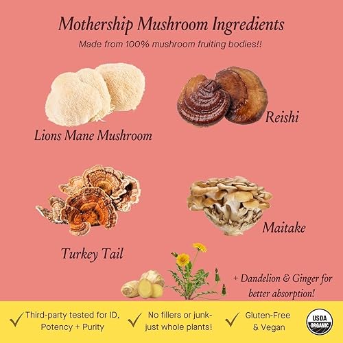 Miniatura 4 de Urban Moonshine Mothership Mushroom Capsule 60ct - Nuevo artículo - Apoyo inmunológico - Hongo melena de león - Reishi - Cola de pavo - Maitake