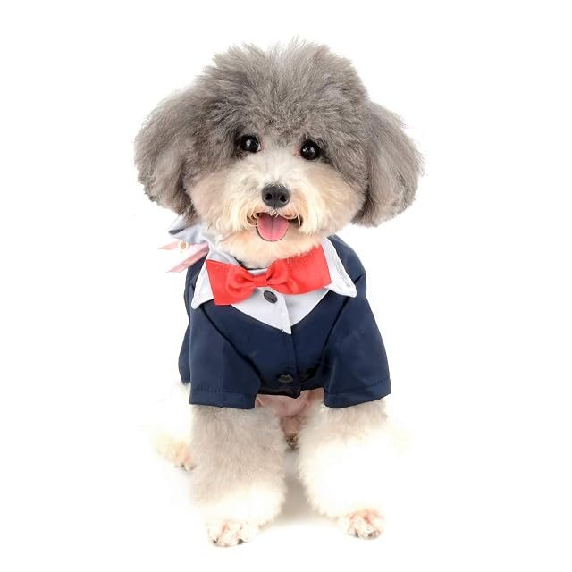 Foto 7 de 8 de Zunea Traje formal para perro pequeño, disfraz de esmoquin para caballero con pajarita