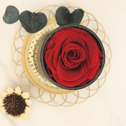 Miniatura 6 de Yamonic Rosas reales preservadas en una caja regalo de rosa para ella rosas hechas a mano que duran de 2 a 3 años regalo para el día de San Valentín