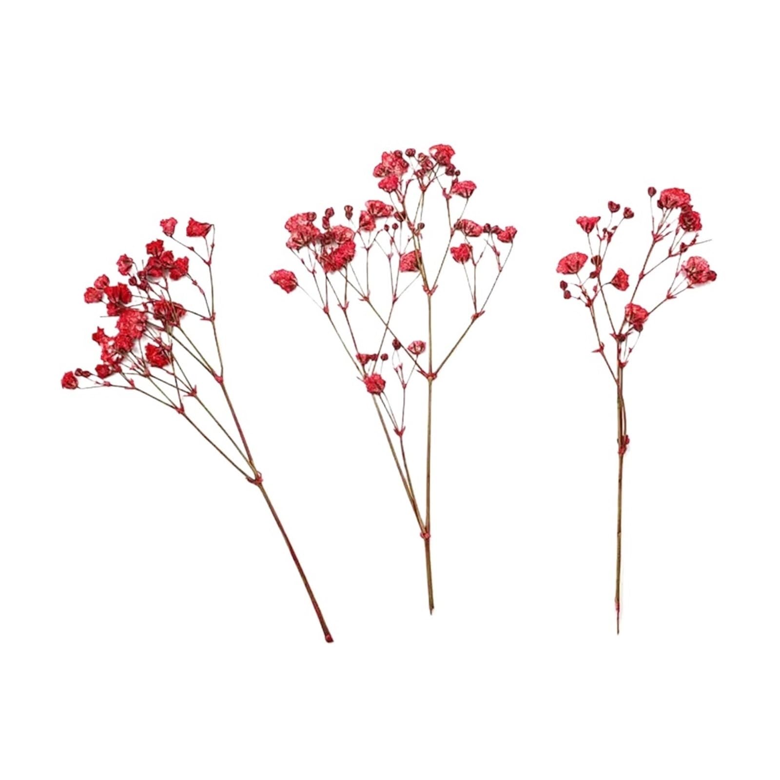 WJIAYAO dried gypsophila flowers 12Pcs Gypsophila Bouquets Colorful Dried Flower(Red)