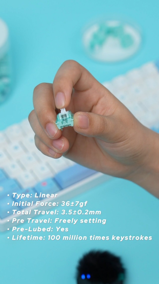 Amazon.com: GATERON SIKAKEYB Castle HM66 TKL Hyper Magnetic Gaming