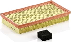 MANN-FILTER Original Air Filter C 2982 KIT – For Passenger Cars : Buy ...