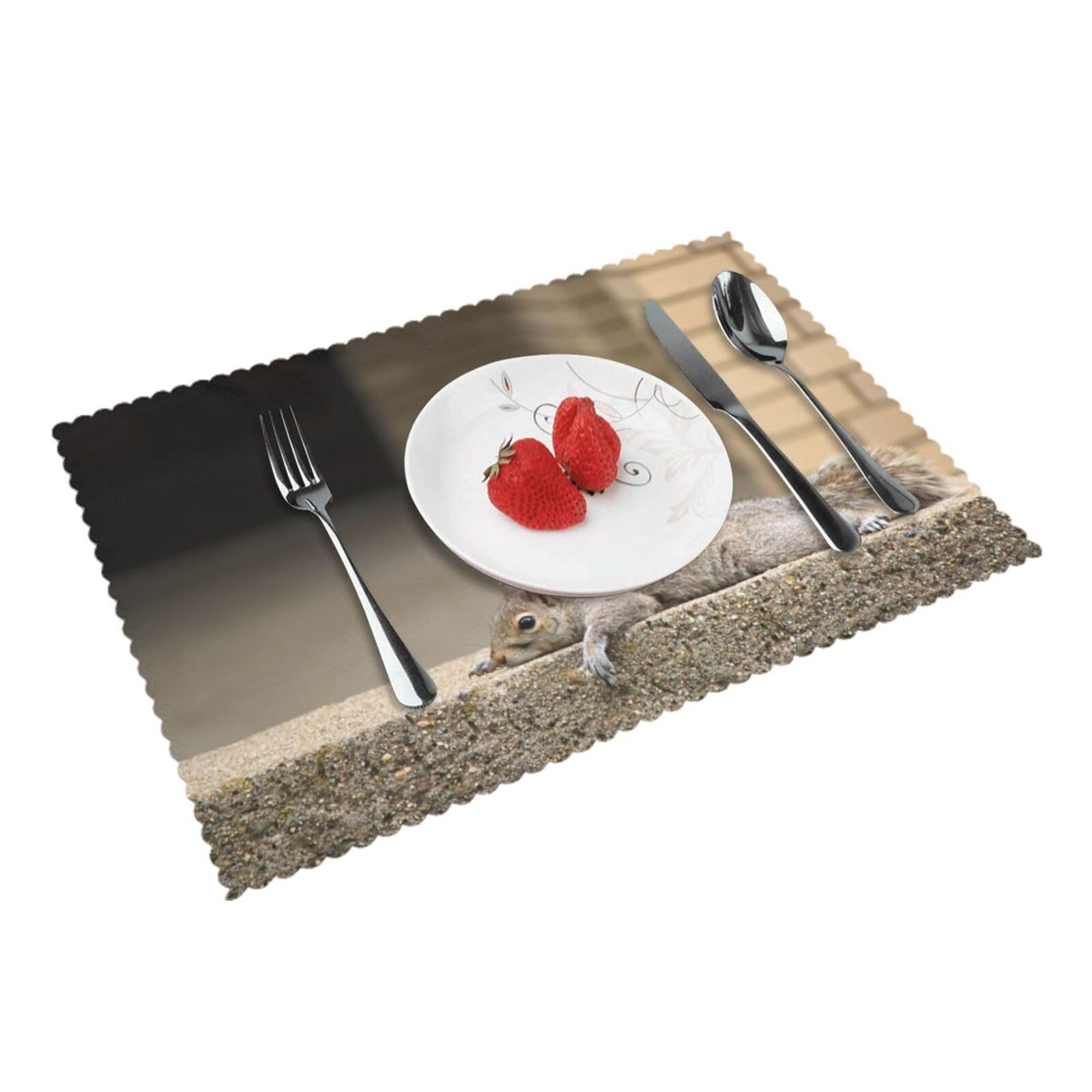 Squirrel Just Laying Printed Placemats Set of 4 PCS Washable Placemat for Kitchen Table Heat-resistant Table Mats 45x30 CM