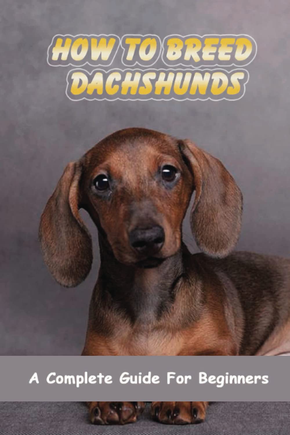 How To Breed Dachshunds: A Complete Guide For Beginners: Dachshund Mating Behavior
