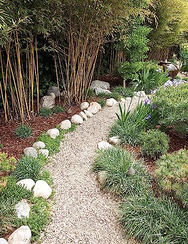 Ultimate Guide to Walks, Patios & Walls, Updated 2nd Edition: Plan, Design, Build (Creative Homeowner) Step-by-Step DIY Instructions with 500 Photos - Brick, Mortar, Concrete, Flagstone, and Tile - Image 3