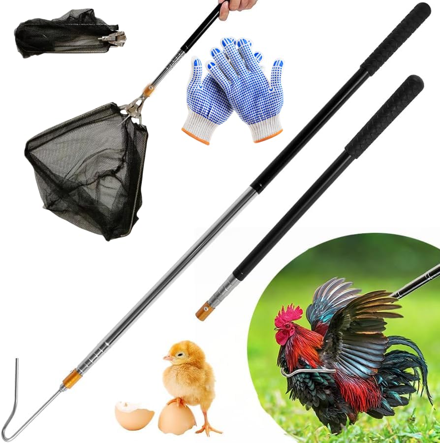 Filet de poulet télescopique pour attrape-poulet - 58,5 pouces - Outil Télescopique de Contrôle des Animaux pour Volaille poignée en caoutchouc antidérapante,1 gants