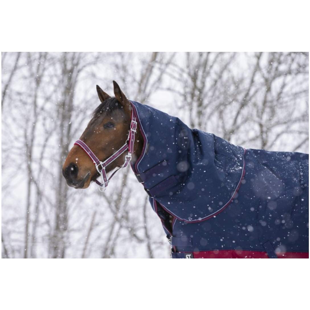 Equi-Theme Equit'M 400993002 Tyrex 1200 D Fodera per Il Collo Blu Navy Bordeaux Bianco Taglia Unica