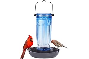 16 Oz Hanging Glass Bird Water Dish For Outside Decoration