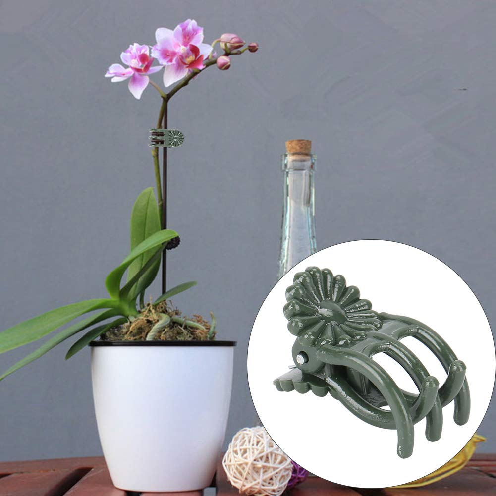 100 pz/borsa in Rattan da giardino con Clip di supporto per pepe di pomodoro da appendere Clip per traliccio in plastica