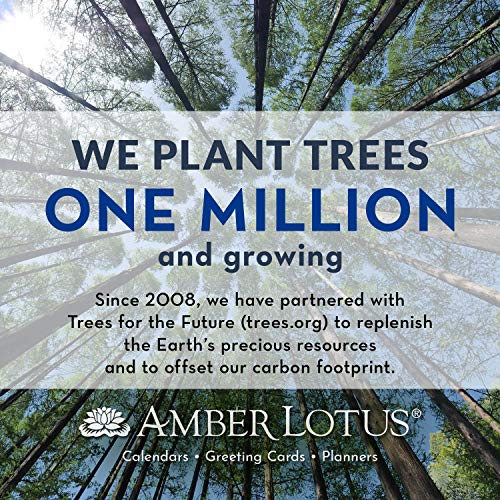 The Curious World of Catrin WelzStein 2021 Wall Calendar A Surreal