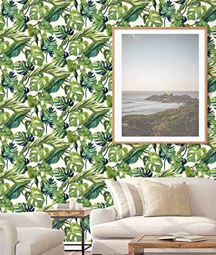 Image of Tommy Bahama - Peel and Stick Wallpaper, Tropical Wallpaper for Bedroom, Powder Room, Kitchen, Vinyl, 30.75 Sq Ft Coverage (Falling Fronds Collection, Aloe)