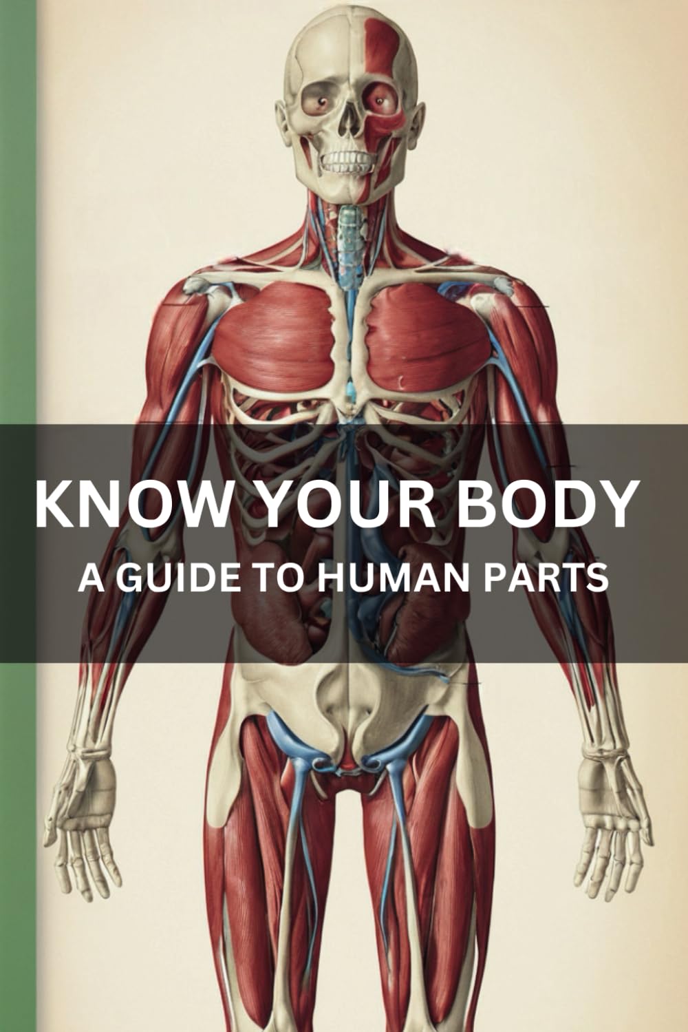 Know Your Body: A Guide to Human Parts: Explore the wonders of your amazing body and discover how each part helps you move, think, and grow!