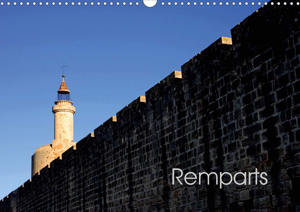 Calendrier mural 2021 DIN A3 Remparts d'Aigues-Mortes horizontal 14 pages pour décoration