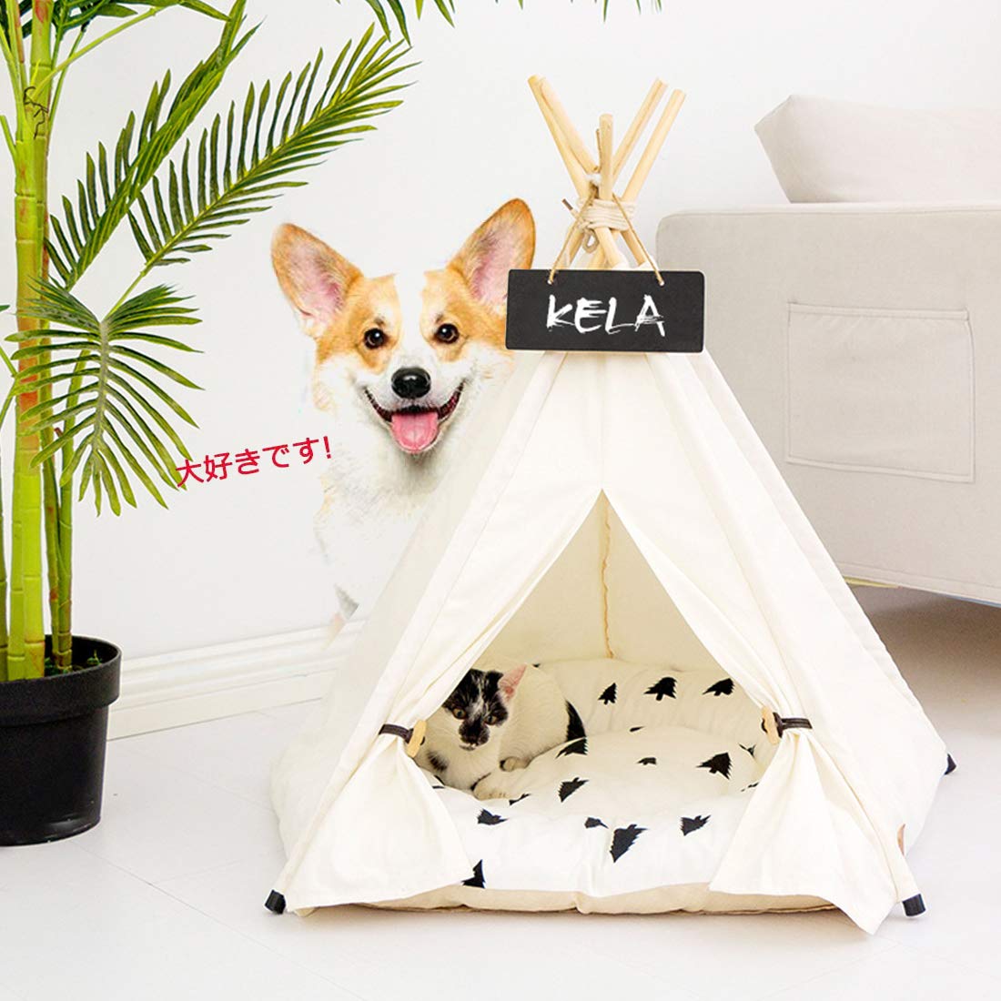 Amazon | nsbs ティピー テント ペットベッド ペットテント 簡易