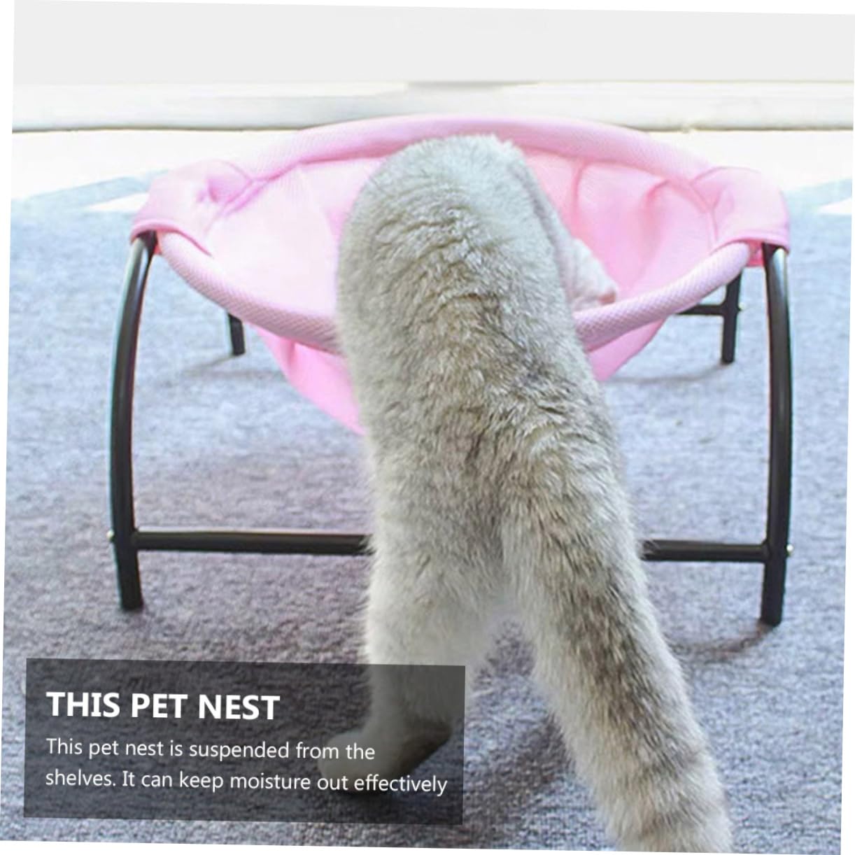Housoutil Hamac Surélevé pour Chat Nid Hamac Pieds en Fer Robustes pour Un Soutien Sûr