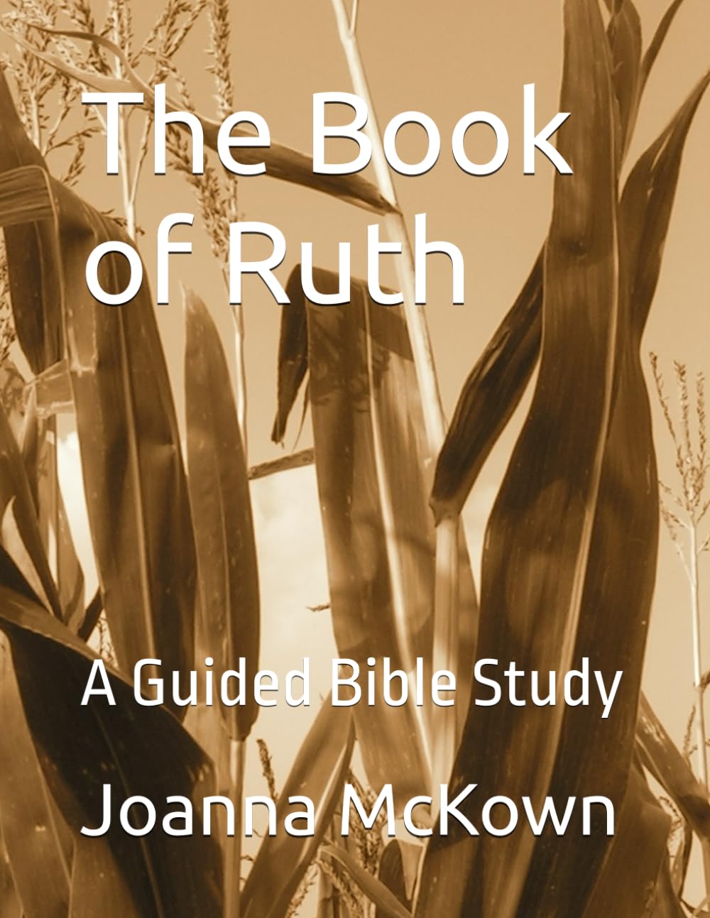 The Book of Ruth: A Guided Bible Study