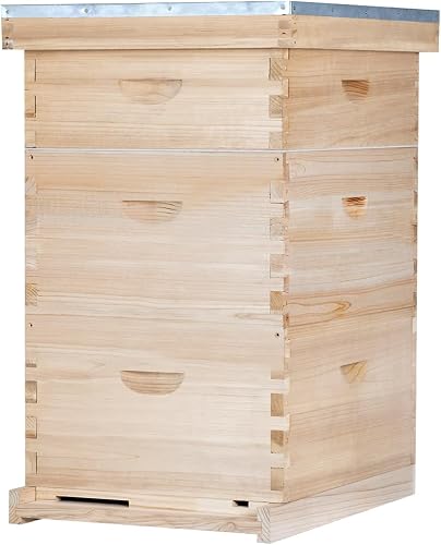 BEEINN 10-Frame Langstroth Beehive Kit with 2 Deep Brood Boxes, Medium Super, Frames and Foundation