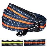 Blueberry Pet 4 Colors Stripe Dog Leash with Soft & Comfortable Handle, 5 ft x 3/4