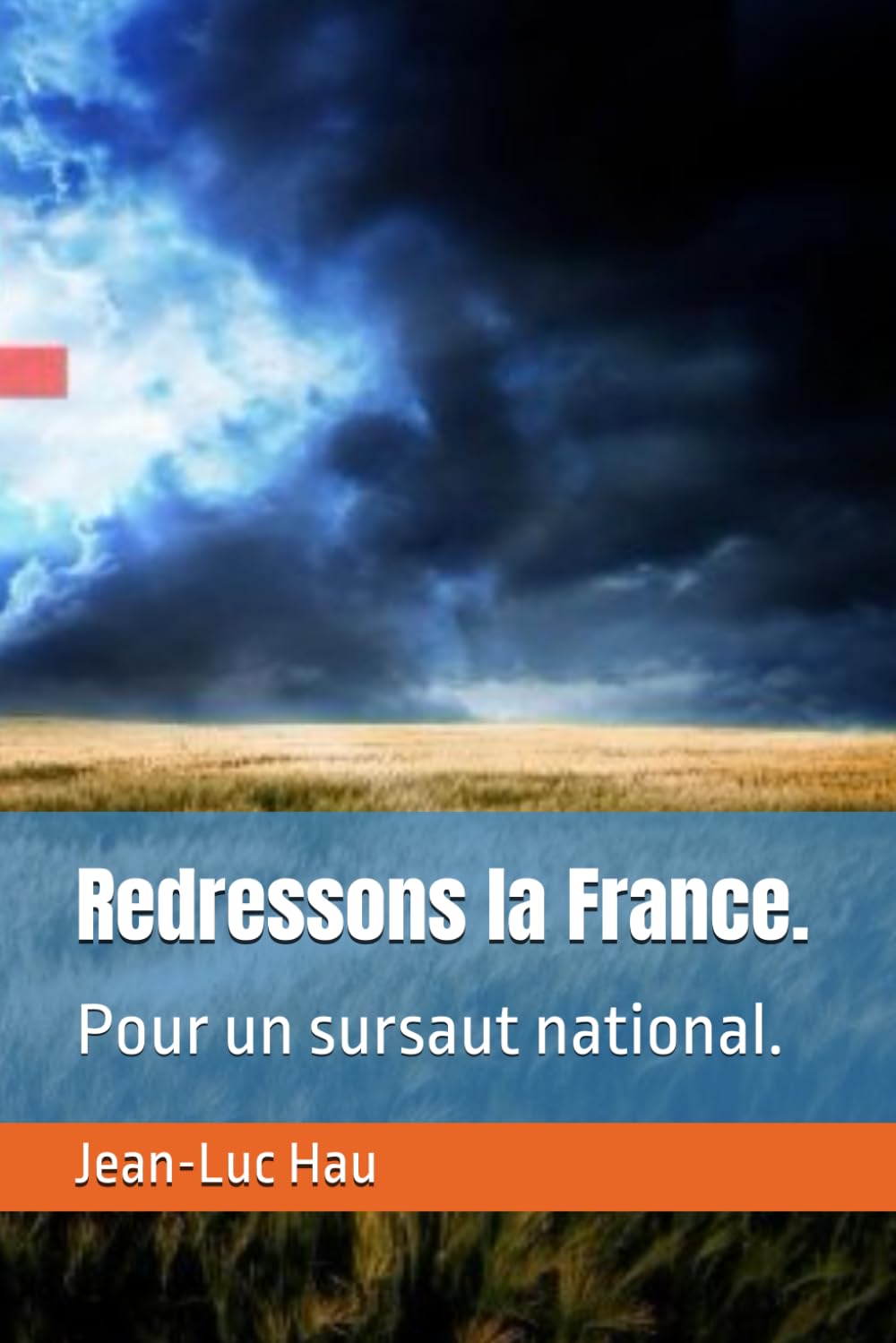 Redressons la France.: Pour un sursaut national.: 1 (Politique Française.)