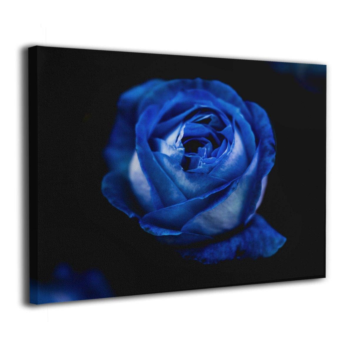 Tour Edge Hot Launch E525 Gap Wedge 46* (Graphite UST Helium Black Regular, Left) 2025