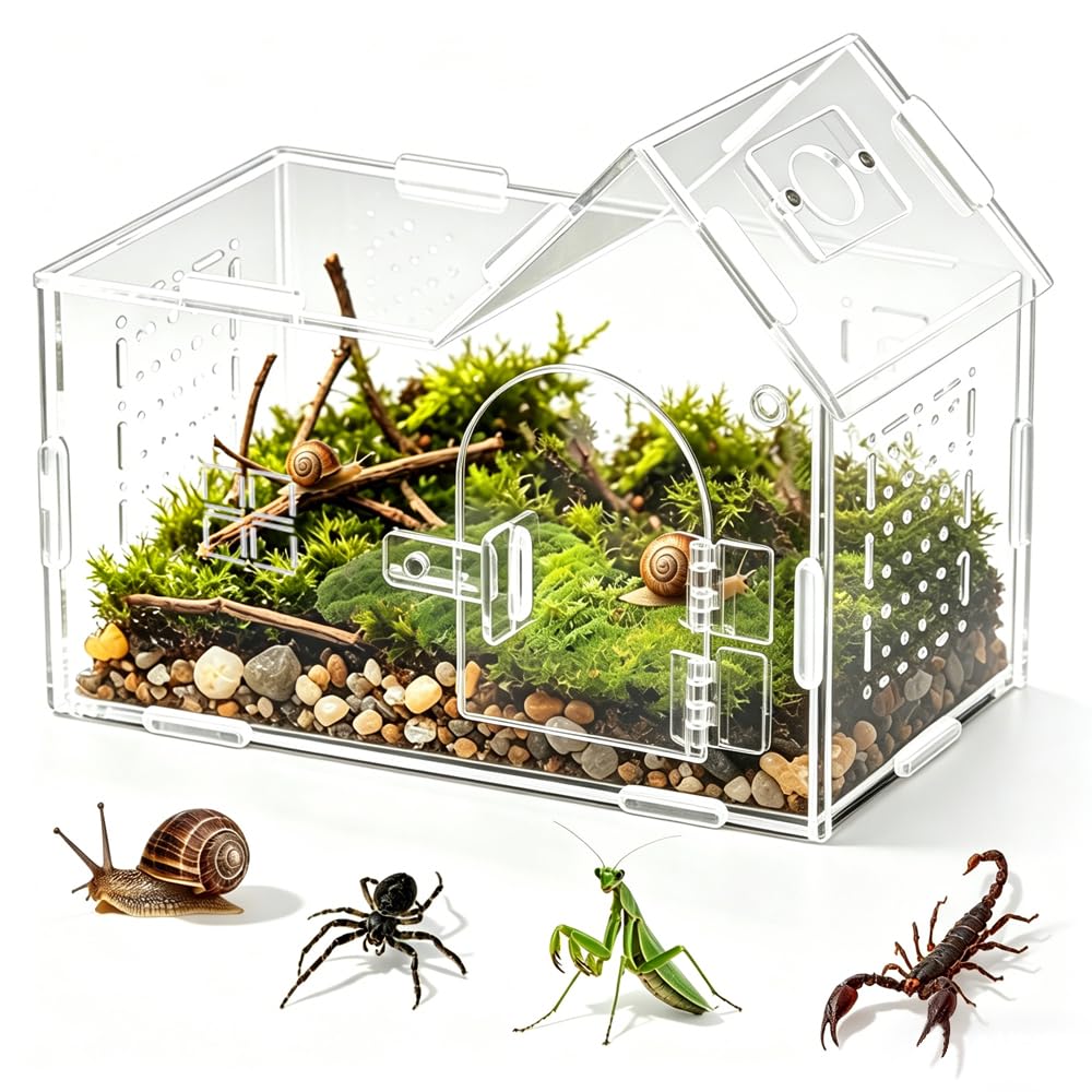 WDKXCN Jumping Spider Enclosure, Acrylic Tarantula Enclosure, Terrarium with Magnetic Lock, Clear Ventilated Terrarium Box for Tarantula, Snail, Frog, Praying Mantis