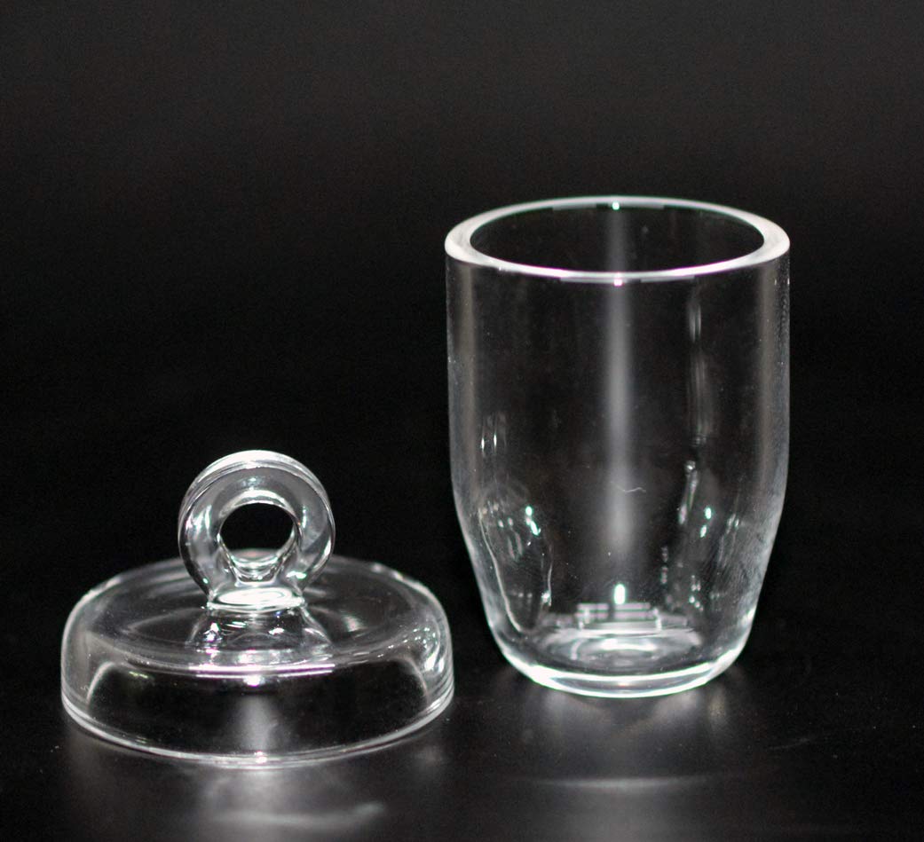 Quartz Crucibles Lab Crucible with Lids High Temperature Resistance, Corrosion Resistance(10 ml, 30 ml, 50 ml, 100 ml) (10ml)