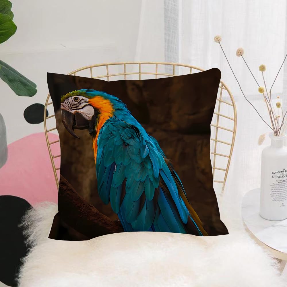 HYOSXW Cushion Cover,Throw Pillow Case Home Decorative for Living Room Bedroom Sofa Chair 16X16 Inch,Colorful feathers of parrots and macaws,Pillowcase 40X40cm