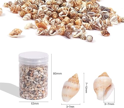 Miniatura 2 de 1 tarro de 0.276-0.472 in con forma de conchas marinas pequeñas sin agujero para decoración del hogar, fabricación de velas, decoración de boda,