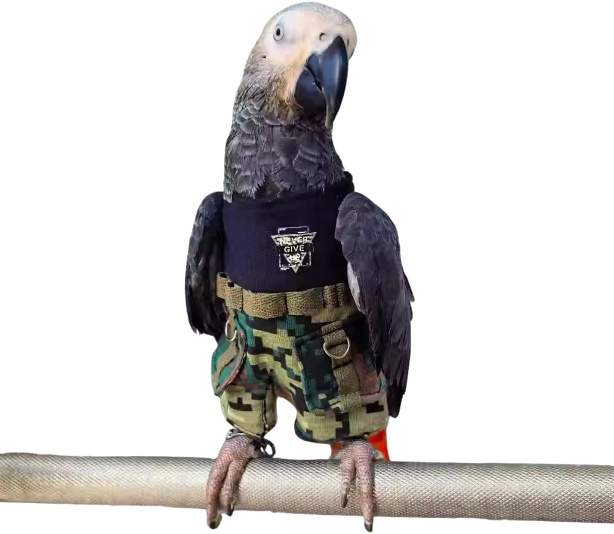 Bird Clothes Christmas Party Birthday Costume for Macaw Cockatoo African Grey Halloween Pet Birds Clothes Parrot Cosplay Handsome Outfit Camouflage Romper Pants (Small)