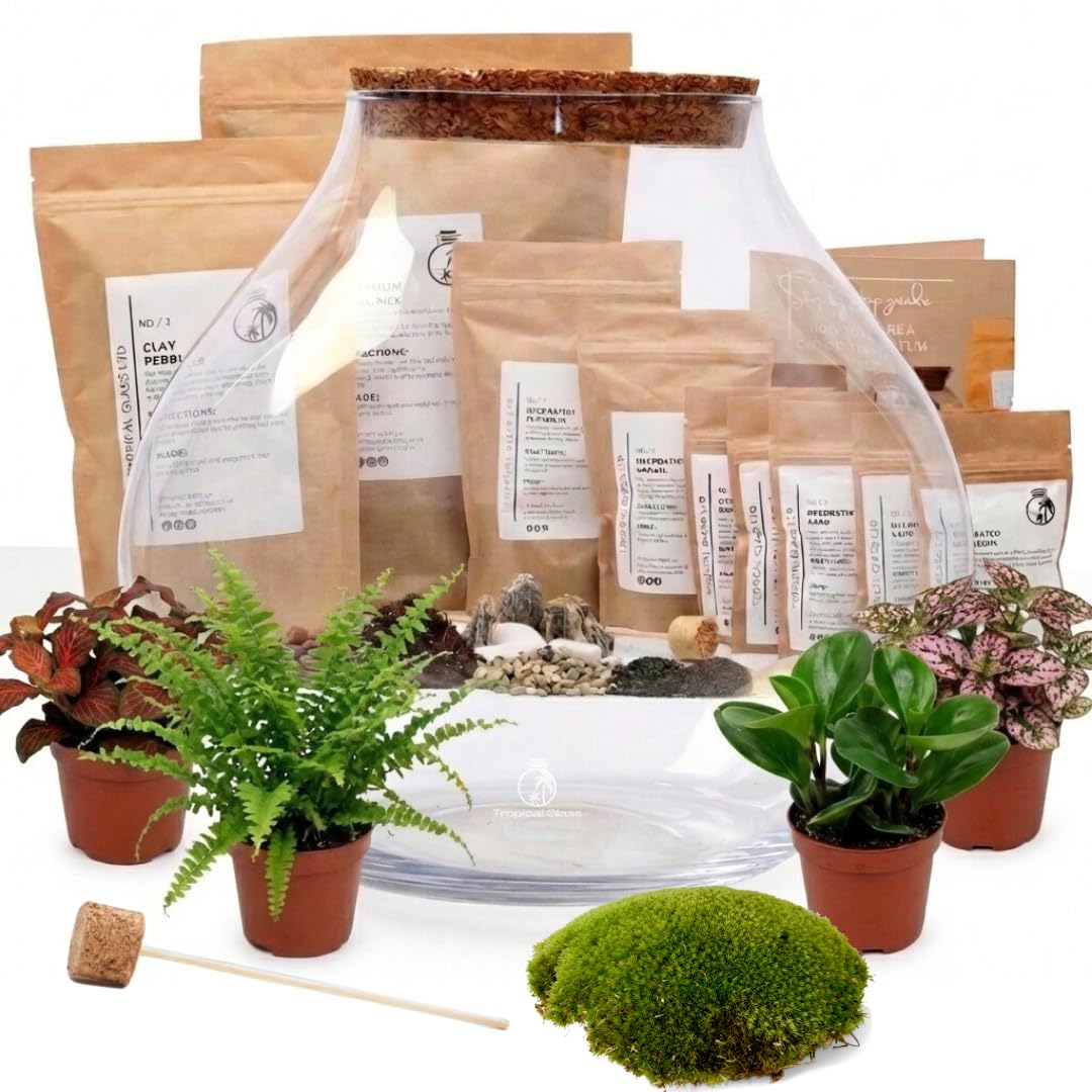 Large Glass Terrarium, H: 31 cm, Mouth Blown Terrarium Jar with Cork Lid for Plants, Ideal for a Closed Environment, Wide Opening Glass Container (Glass + Starter Kit + Plants, with Standard Lid)