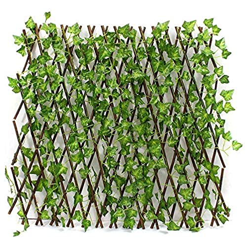 Bamboo Garden Fence With A Medium Sized Vegetable Garden
