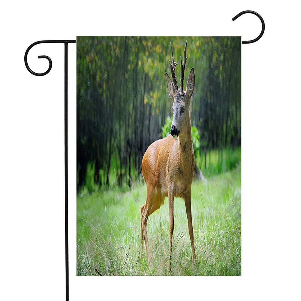 Garden Flag Welcome Flag Brown Young Roe Deer Standing Summer Forest Pasture Animals Habitat Wildlife Roedeer Stag Nature 12x18 Inch Yard Flag Farmhouse Spring Summer Home House Lawn Decor